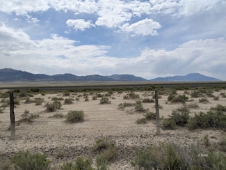 0 01059f041 Unit 3626248, Montello, NV 89835