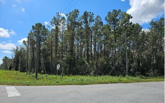 0 Us Hwy 129 Sw Cr 158, Jasper, FL 32052