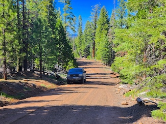 Custer Rd, Alturas, CA 96101