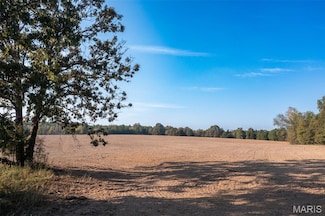 0 Off Bcr 810 Unit MIS25071587, Glen Allen, MO 63751