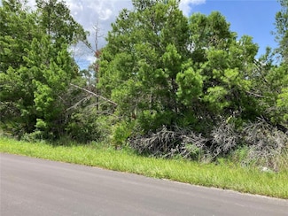 0 Forehand Rd Unit MFRS5137099, Davenport, FL 33896