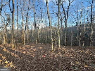 LOT 55 Teel Mtn Dr, Cleveland, GA 30528