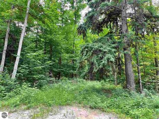 LOT D Reynolds Rd, Interlochen, MI 49643