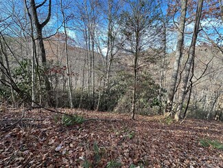 00 Rock House Cove Rd Unit 2, Clyde, NC 28721