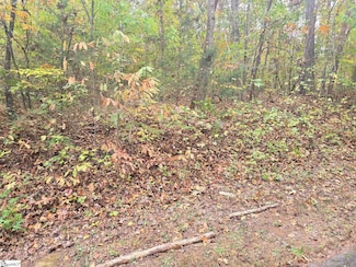 00 Marietta Dr, Westminster, SC 29693