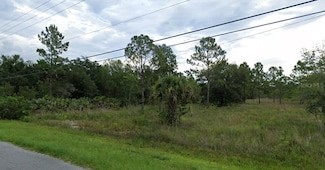 0 Caesar Ave Unit MFRO6310966, Orlando, FL 32833