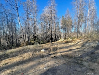 2629 Bald Rock Rd, Berry Creek, CA 95916