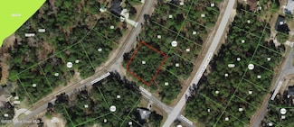 9539 N Wayland Ave, Citrus Springs, FL 34434