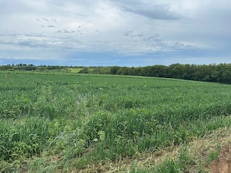 25583 Kane Ave, Glenwood, IA 51534