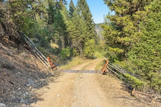 6300 Camas Creek Rd, Potomac, MT 59823