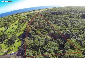 380 Alalele Rd, Hana, HI 96713