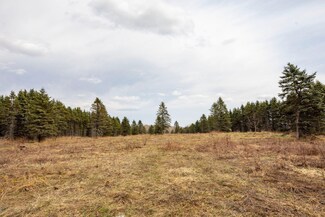 0 V L S Deer Lake Rd, Reed City, MI 49677