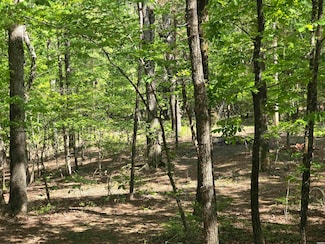 lot 3305 Ohio Dr, Lake Hamilton Township, AR 71913