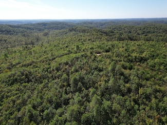 0 Tbd Wildcat Rd Unit 25262411, East Bernstandt, KY 40729