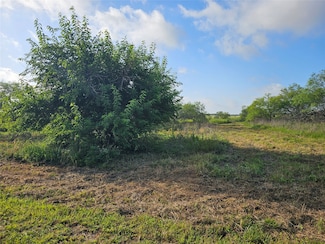 TBD Lot 5 Block 1, Covington, TX 76636