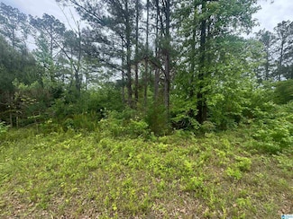 0 County Road 42 Unit 21418539, Jemison, AL 35085