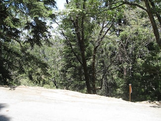 0 Forest Ln Unit PW25157119, Twin Peaks, CA 92352