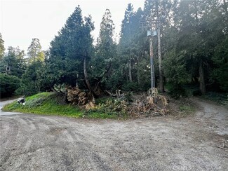 0 N Burnt Mill Canyon Rd Unit CV23220994, Cedarpines Park, CA 92322
