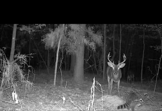 X Lin Frank Line Dr SW, Smithdale, MS 39664