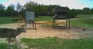 1436 Farm To Market Road 932, Purmela, TX 76566