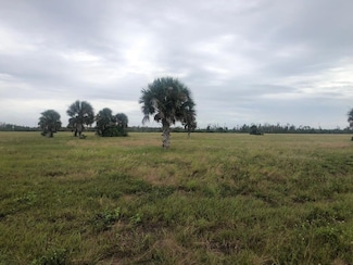 11968 Ronda Dr, Placida, FL 33968