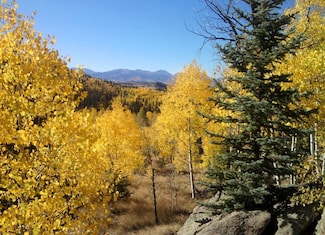 204 Strongbox Ct, Jefferson, CO 80456