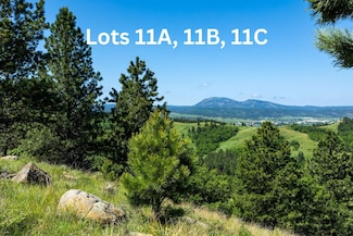 Tract 11A Lookout Vista Rd, Spearfish, SD 57783