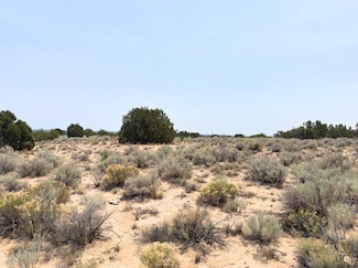 N7147, Saint Johns, AZ 85936