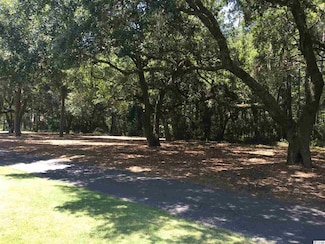 0 Brandon Way, Georgetown, SC 29440
