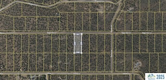 013-185-011 Sage Hen Ln, Alturas, CA 96101