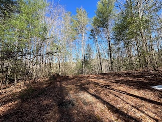LOT 268 Cajun Ln, Ellijay, GA 30540