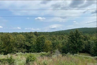 172 acres Denise Ln & Quarry Mountain, Hot Springs, AR 71901