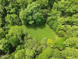 Tbd Buffalo Hollow Rd, Castlewood, VA 24224