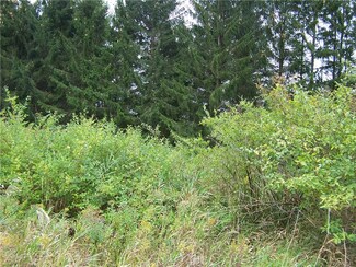 3 acres Center St, Colden, NY 14033