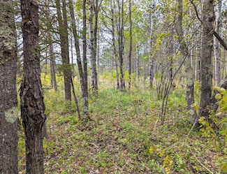 00 Tar Paper Alley, Brule Township, WI 54820