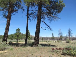 0 Steelhead Ln Unit 103004532, Sprague River, OR 97639