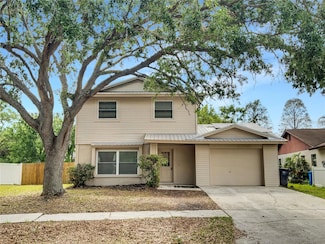 1605 Palm Leaf Dr, Brandon, FL 33510