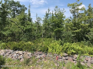 555 Mountain View Dr, Hazle Township, PA 18202