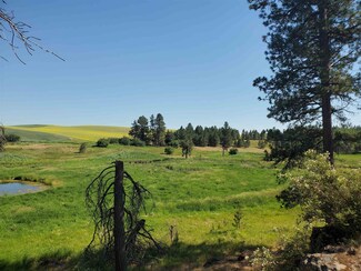 X E Spangle Waverly Rd, Spangle, WA 99031