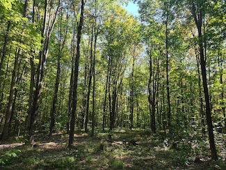 Lot 10 McDonald Rd Unit 10, Steuben, NY 13438