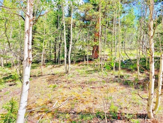 224 Apache Trail, Como, CO 80456