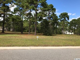 Lot 480 Fiddleway Way, Myrtle Beach, SC 29579