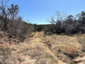 0 Menielle Rd, Robert Lee, TX 76945