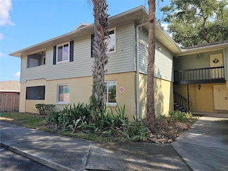 247 Thorn Tree Place Unit 247, Brandon, FL 33510