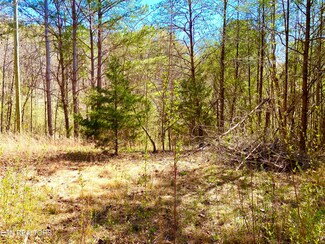 396 Beulah, Tellico Plains, TN 37385