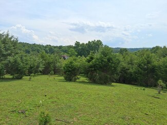0 Buford Rd, Bybee, TN 37713