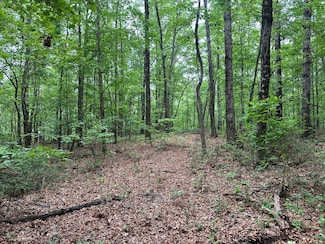 Lot 72 Water View Ln, Monteagle, TN 37375