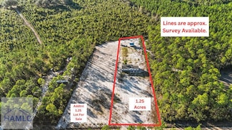 6406 Mount Pleasant Rd, Hortense, GA 31543