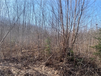 Near Bass Lake Rd, Park Falls, WI 54552