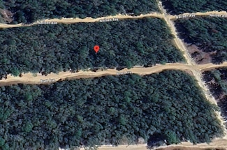 612 Neilsen Ave, Interlachen, FL 32148
